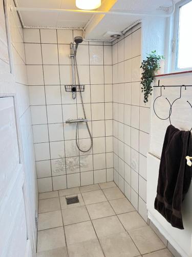 Ένα μπάνιο στο Spacious Apartment Near City & Åløkke Forest