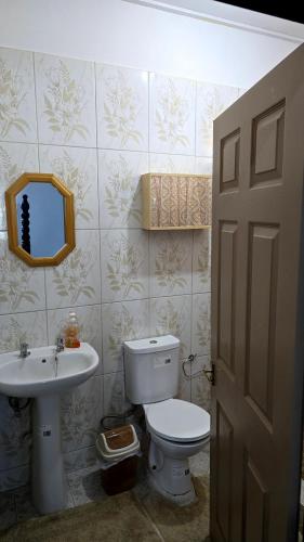 een badkamer met een toilet, een wastafel en een spiegel bij NR Investments in Kingstown