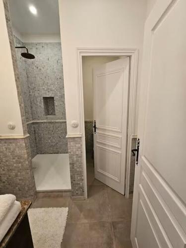 a bathroom with a shower and a white door at Château Studio With Water Views in Saint-Lubin-des-Joncherets