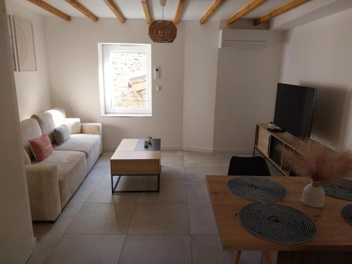 ein Wohnzimmer mit Sofa und Fernseher in der Unterkunft Appartement cosy et calme in Saint-Pierre-de-Boeuf