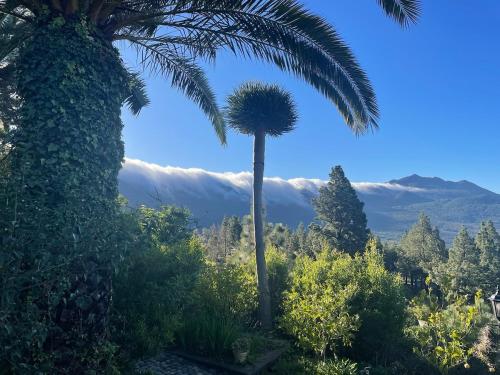 Casa Paraíso - Paradise with a Volcano View