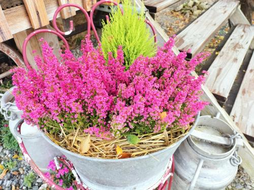 La roulotte de Janeにある庭