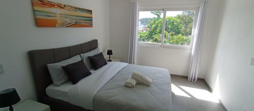 ラス・テレナスにあるSabrina Plaza Residenceの枕が2つ付いたベッドと窓のある寝室