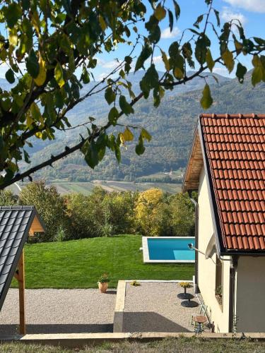 a house with a swimming pool in the yard at Proplanak in Ivanjica