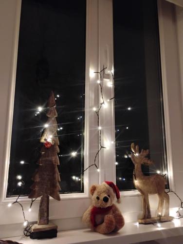 un osito de peluche y un árbol de Navidad en el alféizar de la ventana en Gîte avec parking, au calme, entre Colmar-Riquewihr et Obernai ,marchés de Noël, 3 chambres, avec terrasse, en Châtenois