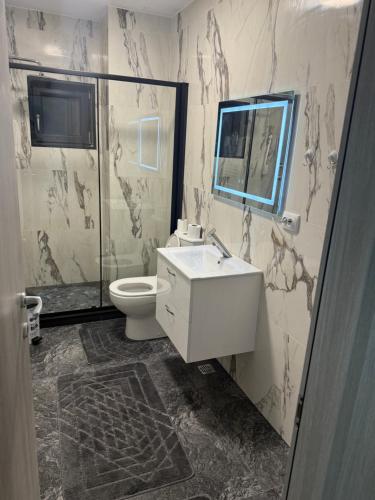a bathroom with a toilet and a sink and a shower at Apartament Promenada Luxury in Craiova