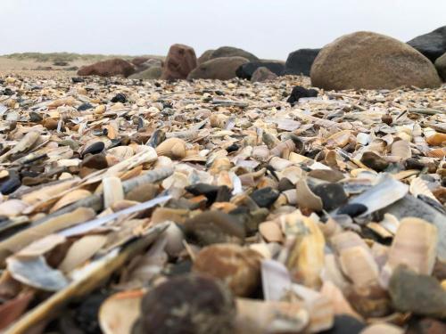 a large pile of rocks on a beach at 5 star holiday home in Blåvand in Blåvand