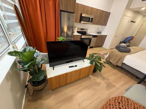 Uma televisão e/ou sistema de entretenimento em Studio Downtown , Rodgers Views, AC, Heated Free Underground Parking