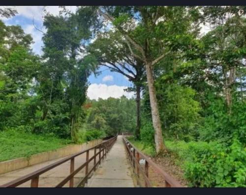 un albero sul lato di un ponte di House available for the Cop ad Ananindeua