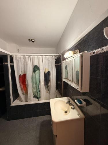 a bathroom with a sink and a shower curtain at San Jorge in San Clemente del Tuyú