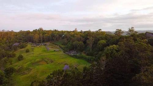 an aerial view of a house on a hill with trees at Montville Retreat by Tiny Away in Flaxton