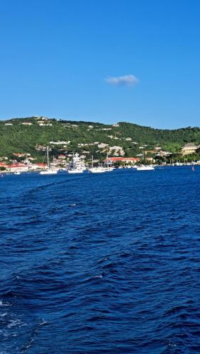 Φυσικό τοπίο κοντά σε αυτό το σαλέ