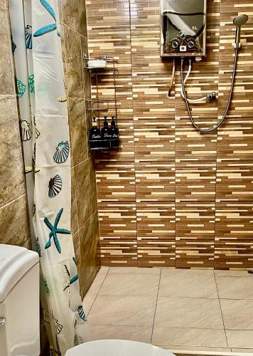 a bathroom with a shower with a toilet and a television at Starlight Beach Resort in Ko Phayam