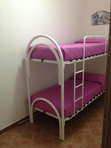 Lido SignorinoにあるVilla del Soleの紫色のシーツが備わる客室で、二段ベッド2組を利用します。