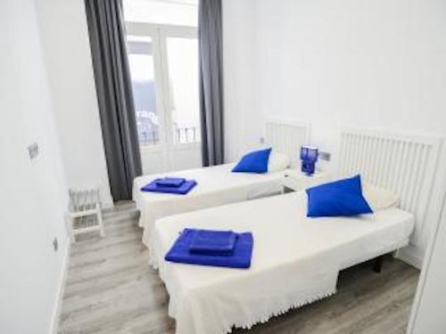 two beds with blue pillows in a room with a window at Malaga BnB in Málaga