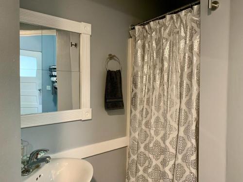 une salle de bain avec un rideau de douche et un lavabo dans l'établissement Beautiful Victorian Apartment, à Bay City
