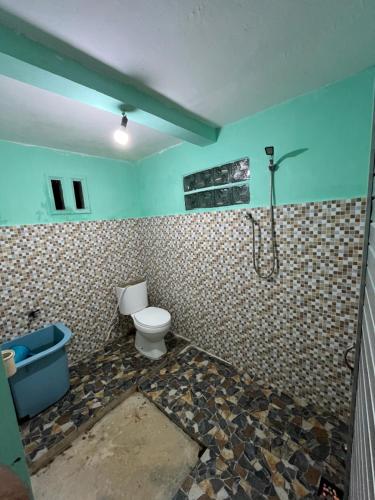 Ένα μπάνιο στο Sumatera Happy Track Tour Guest House