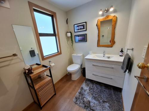 a bathroom with a toilet and a sink and a mirror at Channel View Havelock in Havelock