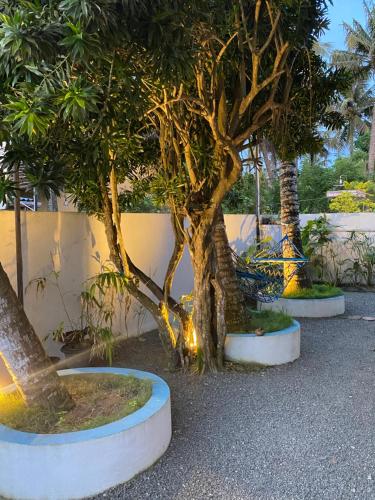 Jardin de l'établissement Coco Bliss - Ahangama