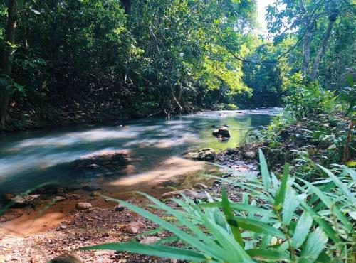 Příroda nedaleko prázdninového domu
