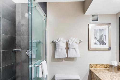 Koupelna v ubytování DoubleTree by Hilton Roseville Minneapolis