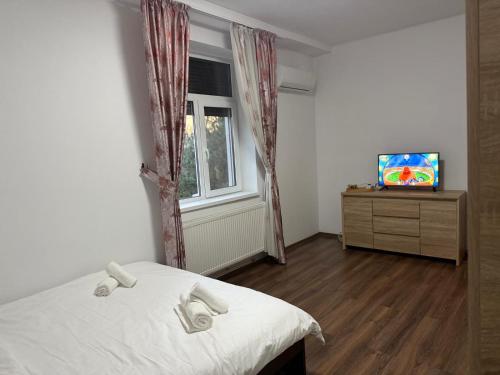 a bedroom with a bed and a television and a window at Nova Central Apartment in Bacău