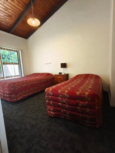 a hotel room with two beds and a window at Aladdin Motel in Auckland
