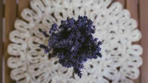 a bunch of purple flowers on a white object at Zöldre Néző Vendégház in Letkés