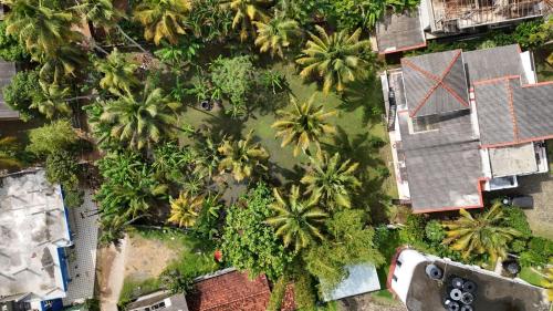 an overhead view of palm trees in a yard at Kelani Retreat in Matara
