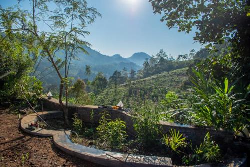 una vista de las montañas desde una ladera en la selva en Ecovert Residence Sinharaja, en Kalawana