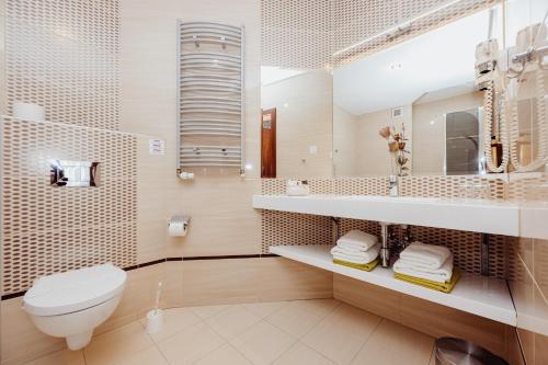 a bathroom with a toilet and a sink and a mirror at Hotel Buczyński Medical & SPA in Świeradów-Zdrój