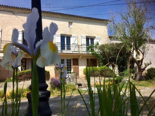 a white flower in front of a house at Chambres d'hotes du Domaine Capiet in Courpiac