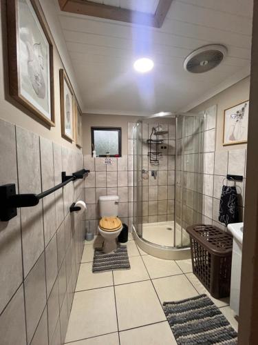 a bathroom with a shower and a toilet and a sink at Erdvarkie at Kruger, Marloth Park in Marloth Park