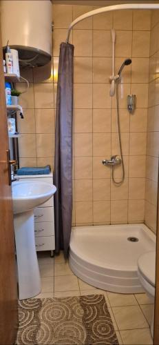 a bathroom with a shower and a toilet and a sink at Dream weekend house in Visoko