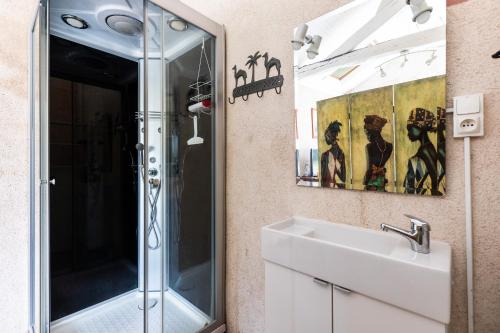 a bathroom with a shower and a sink and a mirror at Le Petit Montparnasse - Montrichard in Montrichard
