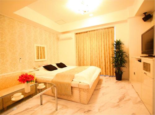 TV a/nebo společenská místnost v ubytování ホテル 白雪姫 -水島インターチェンジ隣-