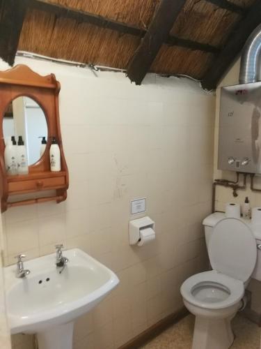 a bathroom with a sink and a toilet and a mirror at Thimble Cottage, Underberg in Underberg
