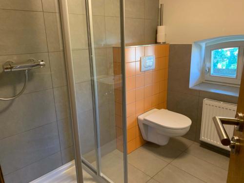 une salle de bain avec toilettes et douche en verre dans l'établissement Lisovna-prázdninový dům s vinným sklepem, à Golčŭv Jeníkov