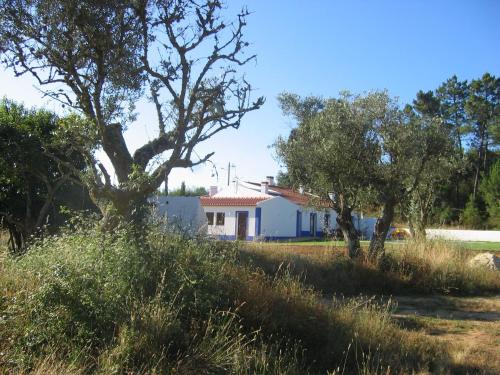 a house in the middle of a field with trees at The New Laziness in São Luis