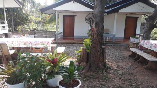 Zahrada ubytování Pineapple Resort Sam roi yot