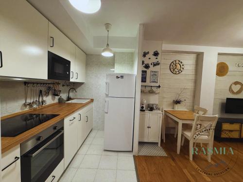 Kuchyň nebo kuchyňský kout v ubytování Rasmia Canfranc Estación