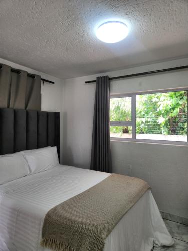 ein Schlafzimmer mit einem Bett und einem Fenster in der Unterkunft Hayley's inn at village blues in Johannesburg
