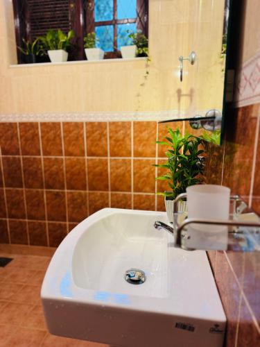 a white sink in a bathroom with a mirror at Kandy Villa 119 in Kandy