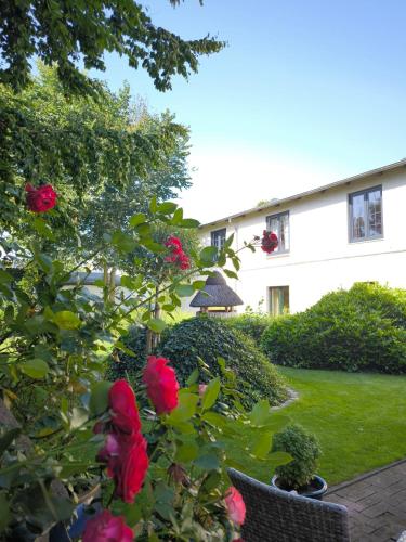 Golf- & Landhotel am alten Deich photo 42