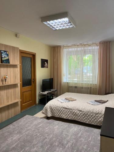 een slaapkamer met 2 bedden, een raam en een televisie bij Lucia's apartment in Chişinău