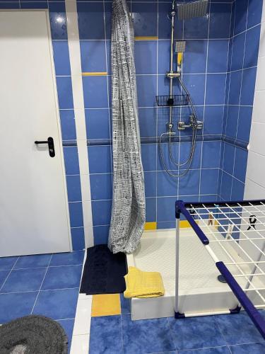 een badkamer met een douche met een douchegordijn bij Lucia's apartment in Chişinău
