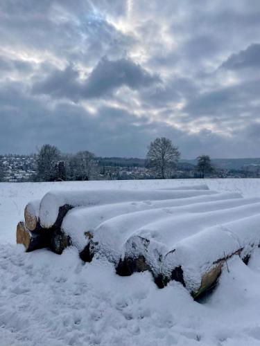 a fallen tree in a field covered in snow at Schwarzwald - Modern mit Terrasse in Schramberg