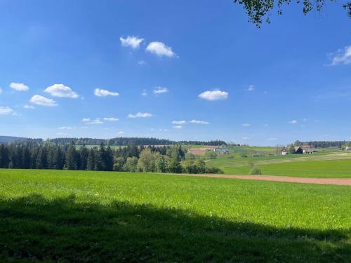 a field of green grass with trees in the background at Schwarzwald - Modern mit Terrasse in Schramberg