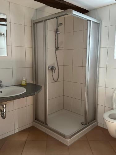 a shower stall in a bathroom with a sink at Bioweingut Glaser in Hainfeld