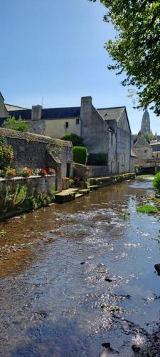 a river in a town with buildings and trees at Appartement Studio Le Clem's in Bayeux
